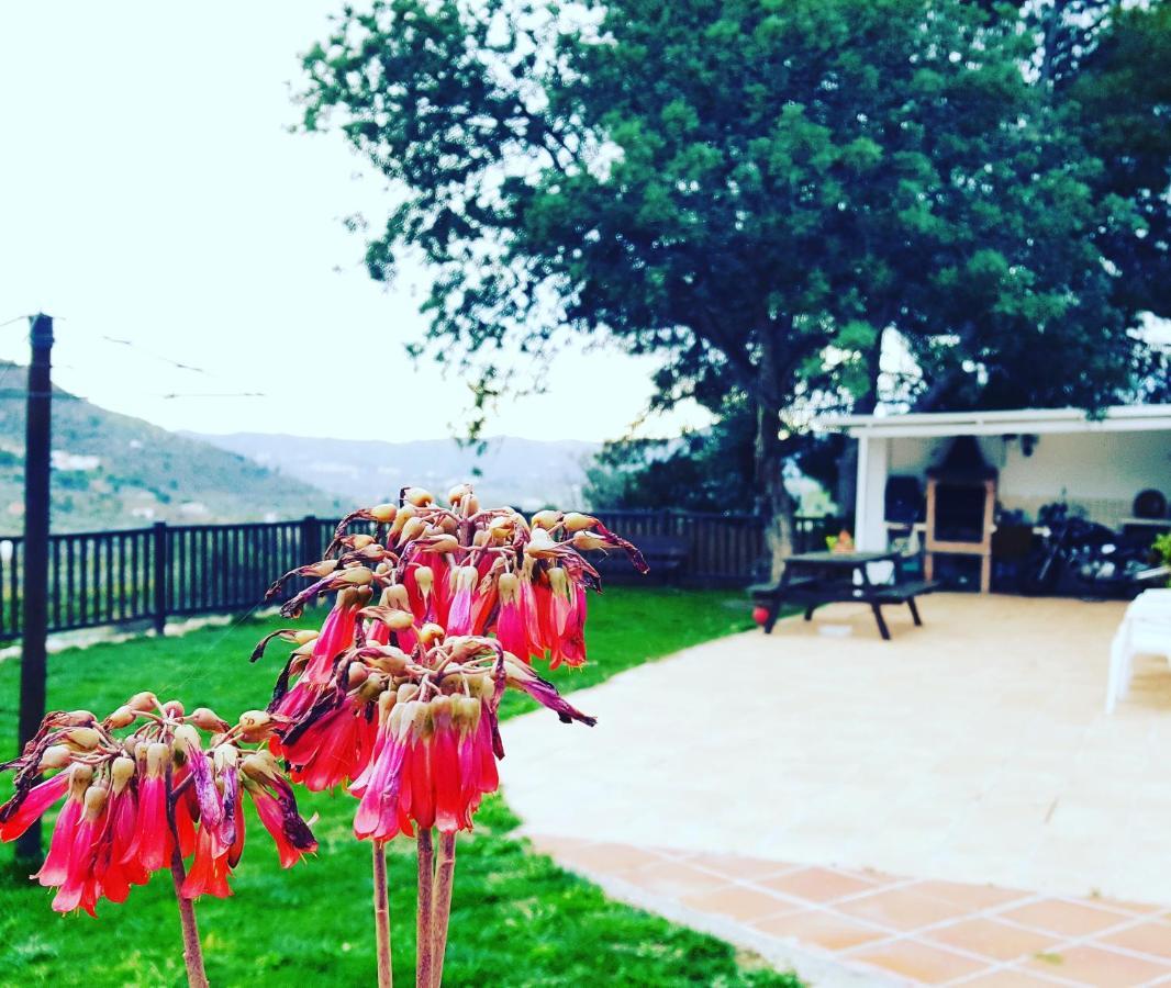 Casa Molina Villa Alcaucín Dış mekan fotoğraf